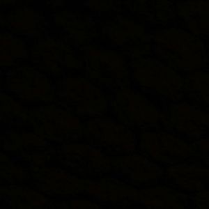 Meet your Posher, Sabino